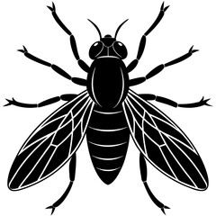vector illustration of a wasp