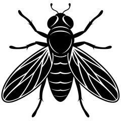 bee vector illustration