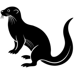 black sea lion