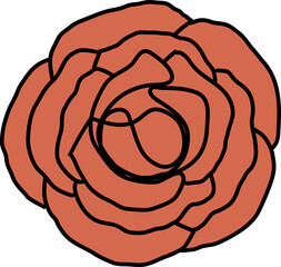 Flat design rose is blooming with layered coral petals and bold outlines on transparent background