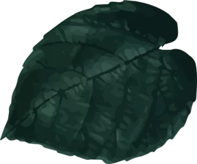 Gardinen Stylized tropical broadleaf leaf is resting on transparent background, showing textured green veins © vectorfusionart
