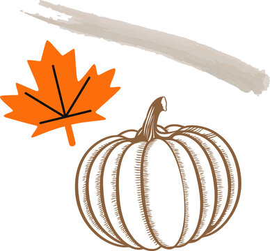 Fototapeta Autumn vector art is showing beige brush stroke orange maple leaf brown pumpkin on clear backdrop