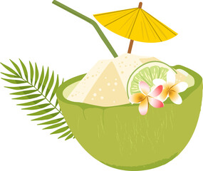 Flat coconut drink showing ice with umbrella straw lime plumeria and palm frond on clear background