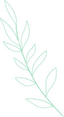 Minimal green line art branch is being shown on transparent background, showing elongated leaves