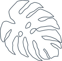 Line drawing is showing stylized Monstera leaf with splits and oval slots on transparent background