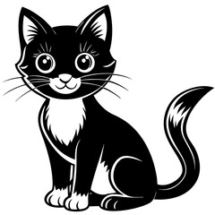 black and white cat