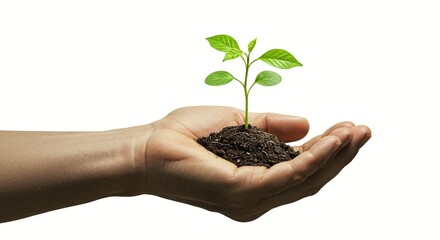 A human hand holds a small green seedling growing from a pile of soil against a plain background, symbolizing hope and growth.