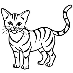 Minimalist Sand Cat Line Art on Clean White Background