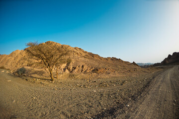 View of dry desert valley. Eilat. Israel.