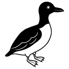 duck isolated on white