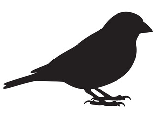 FINCH BIRD SILHOUETTE.