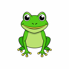 frog on white background