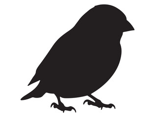 FINCH BIRD SILHOUETTE.