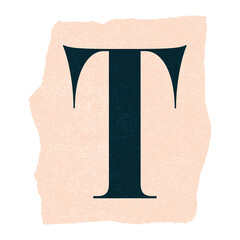 Serif letter T floating on torn paper in flat design, with grainy texture on transparent canvas