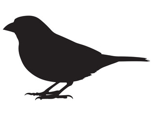 FINCH BIRD SILHOUETTE.