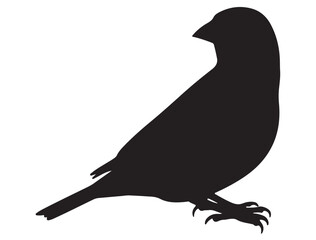 FINCH BIRD SILHOUETTE.