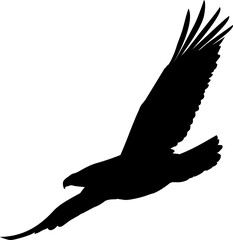 Flat vector silhouette is showing raptor spreading wings with forked tail on transparent backdrop