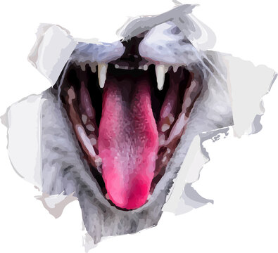 Fototapeta Stylized cat mouth is shredding paper, revealing sharp teeth, pink tongue on transparent backdrop