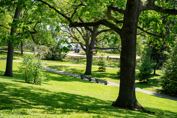 View of High Park in Toronto.