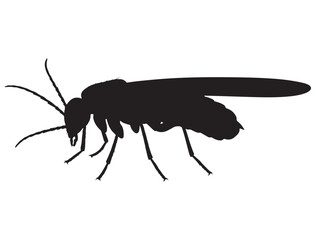 FIREFLY SILHOUETTE