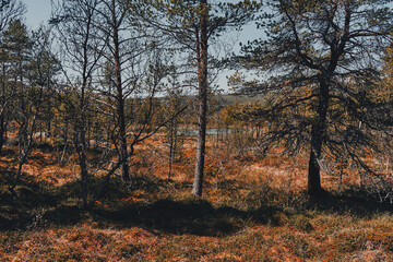 Photography from the Huldrestigen Path by the Valdresflye Scenic Route, Norway, crossing the Jotunheimen Mountains, in June 2025.