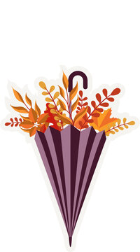 Fototapeta Flat design umbrella is showing autumn foliage bursting from plum canopy, transparent background