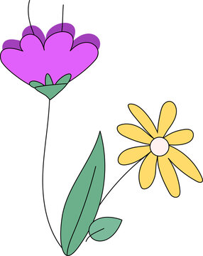 Fototapeta Flat design flowers are showing stems purple-pink and yellow daisy petals on transparent background