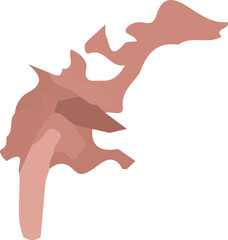 Abstract flowing shape is undulating in flat design over transparent background with earthy tones