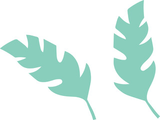 Two stylized botanical leaves are floating on transparent background, showing flat vector design