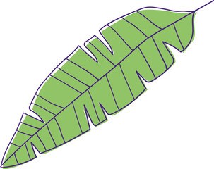 Stylized green banana leaf is floating on transparent background, showing central vein and lobes