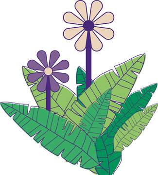 Fototapeta Stylized daisy flowers are rising from tropical leaves in flat design on transparent background