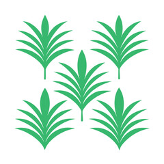 Symmetrical Green Palm Leaf Cluster Arrangement