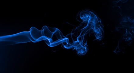 Fototapeta premium Abstract smoke swirls on black background (1)