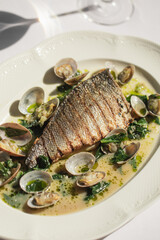 Portion of gourmet grilled mediterranean fish with mussels