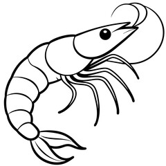 Fototapeta premium Shrimp Outline Illustration – Simple Vector Style