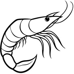 Shrimp Outline Illustration &ndash; Simple Vector Style