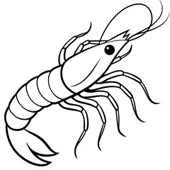 Shrimp Outline Illustration – Simple Vector Style