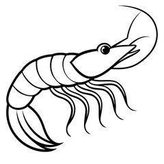 Shrimp Outline Illustration – Simple Vector Style