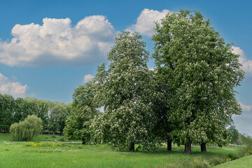 Unterer Schlossgarten Stuttgart