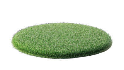 Circular patch of vibrant green grass
