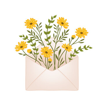 Fototapeta Flat design is showing open envelope with yellow daisy flowers and stems on transparent backdrop