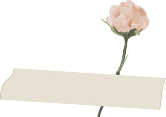 Flat cream banner is floating on green stem holding pink peony, transparent background, copy space