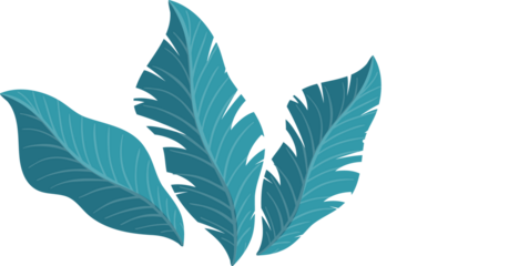 Flat five fan-shaped blue teal leaves scattering white dot splatters on transparent background