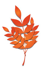 Abstract orange leaf branch is being shown with clear background, showcasing flat gradient design