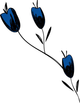 Fototapeta Flat design stem is bearing three blue tulip buds, black leaves, scribbles, transparent background
