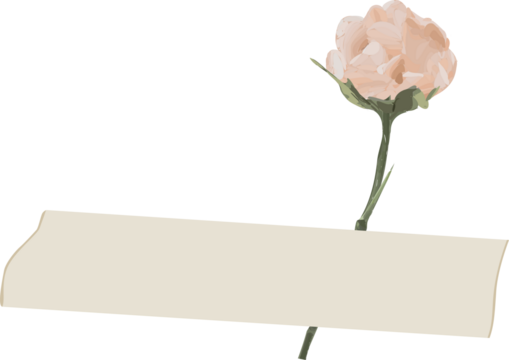 Flat cream banner is floating on green stem holding pink peony, transparent background, copy space - Powered by Adobe