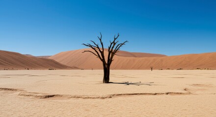 A lone, dead tree stands in a vast, sandy desert under a clear blue sky, surrounded by rolling dunes