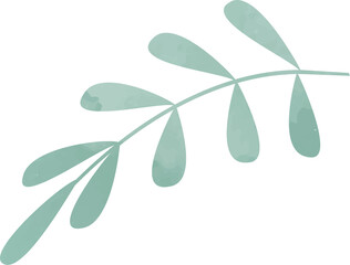 Botanical branch is showing in watercolor with muted green leaves on transparent background