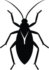 Obraz premium black beetle isolated on white