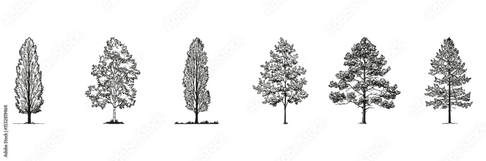 Poster monochrome tree sketch side view set. landscape architecture and design element collection. nature-i
